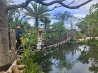 Junglia Okinawa Theme Park Review: A Paradise of Fun, Food, and Relaxation
