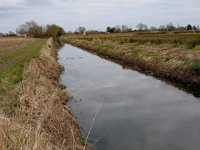 Magor Marsh and the Caldicot Levels 