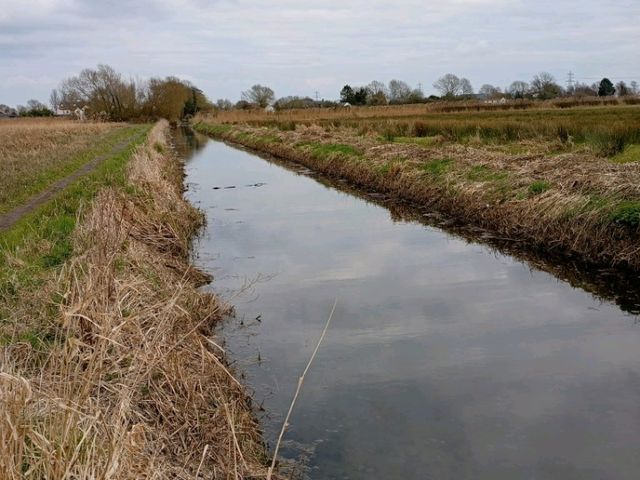 Magor Marsh and the Caldicot Levels 