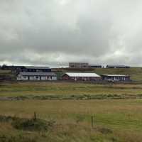 Golden Circle Like a Local: Beyond the Tourist Trail