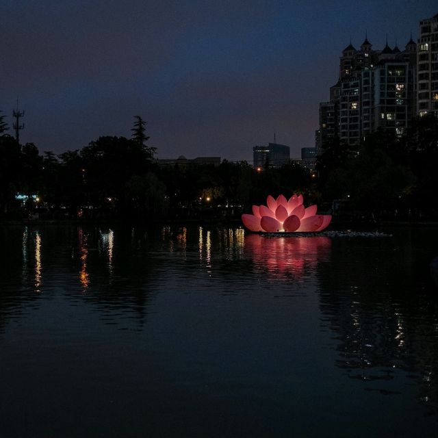 🌙Huiyuan Garden by Night: A Quiet Stroll Through Anhui Miniatures & Lantern Glow