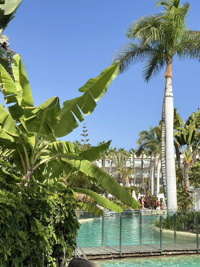 🌴 Maspalomas Princess Hotel Review