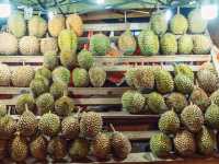 Kuala Lumpur – Where Cultures and Skylines Meet
