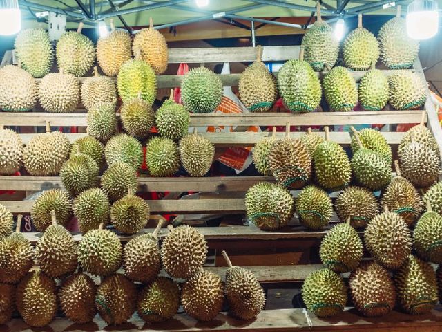 Kuala Lumpur – Where Cultures and Skylines Meet