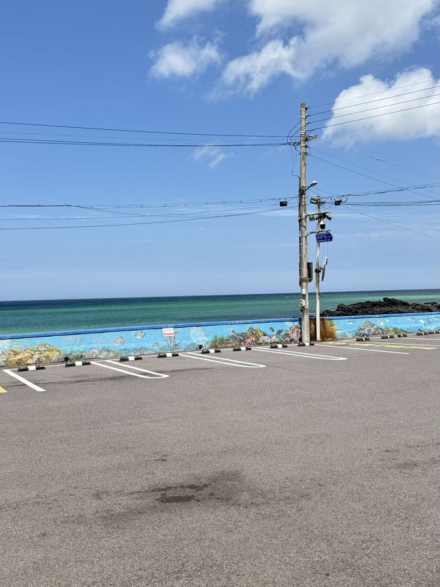 Jeju’s Hidden Gem: Chill Vibes on Aewol Coast Road 🌊🦀