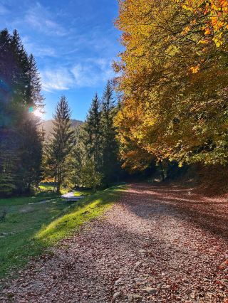 Discover a Quiet Autumn Retreat🍁🧡