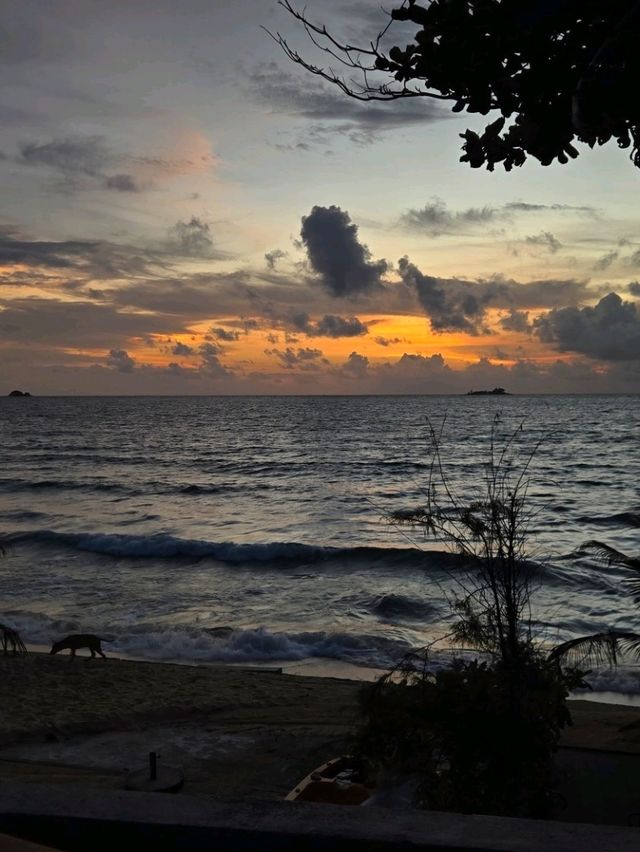 Island Sunsets🌅