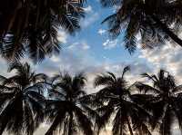 🌉 Sentosa Island Escape