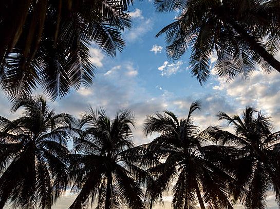 🌉 Sentosa Island Escape