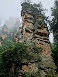 Как Увидеть парк Аватар без толп!