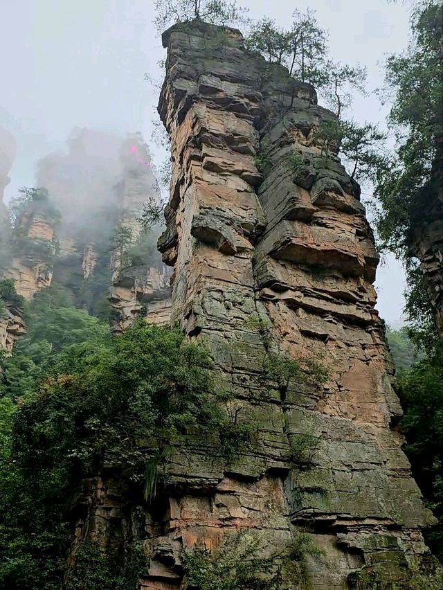 Как Увидеть парк Аватар без толп!