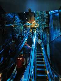 Welcome to the magical world of Harry Potter in central Tokyo! ✨⚡