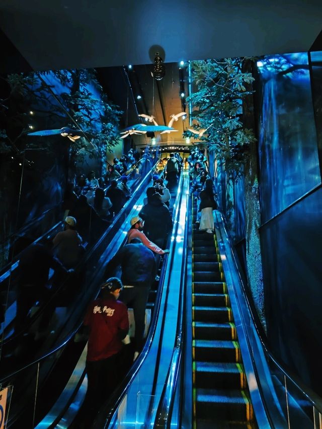 Welcome to the magical world of Harry Potter in central Tokyo! ✨⚡