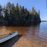 Algonquin Provincial Park