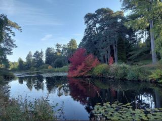 베지베리 국립 소나무 숲 및 삼림