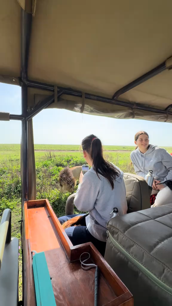 Heading out on an epic Big 5 safari adventure? 🦁🐘 Here’s your guide to spotting Africa’s most iconic wildlife and making the absolute most of your time in the bush! The thrill of seeing lions, leopards, rhinos, elephants, and buffalo in their natural habitat is next-level, and these parks are tailor-made for unforgettable encounters.

Top Spots for Big 5 Sightings:

Kruger National Park (South Africa): Open daily 5:30 AM–6:30 PM. Huge, legendary, and packed with all the Big 5. For max chances, aim for early morning or sunset drives—animals are way more active then!
Masai Mara Reserve (Kenya): Gates open 6 AM–6 PM. Classic savannah scenes and insane concentration of big cats. Grab a game drive right at sunrise for big action, and don’t forget binoculars for distant spots.
Chobe National Park (Botswana): Open 6 AM–6:30 PM. Home to massive elephant herds—try a boat safari for a totally different view.
Serengeti National Park (Tanzania): Hours are flexible, generally sunrise to sunset (6 AM–6 PM). Visit during the Great Migration (June–October) for next-level wildlife viewing.
Hluhluwe–Imfolozi Park (South Africa): Daily 6 AM–6 PM. Smaller crowds but super reliable for rhinos!
Travel Efficiency Tips:
Pre-book game drives with certified rangers for expert tracking. If you go self-drive, pick up a park map and check where recent sightings happened (“Sighting Boards” at park gates are gold 👀). Staying in the park gets you out early before crowds—worth the extra cost!
Getting Around: Rent a 4x4 if you’re self-driving—roads can be bumpy and wildlife loves to roam! Join a guided tour for max insights.
Food: Most parks offer lodge dining and sundowner snacks—pack extra water and light eats for long drives.
Essentials: Decent camera/phone, bug spray, and layers (early mornings get chilly). Bring cash for park entry (many don’t take cards!).
#big5safari #africatravel #krugerpark #wildlifeadventure #safarihacks