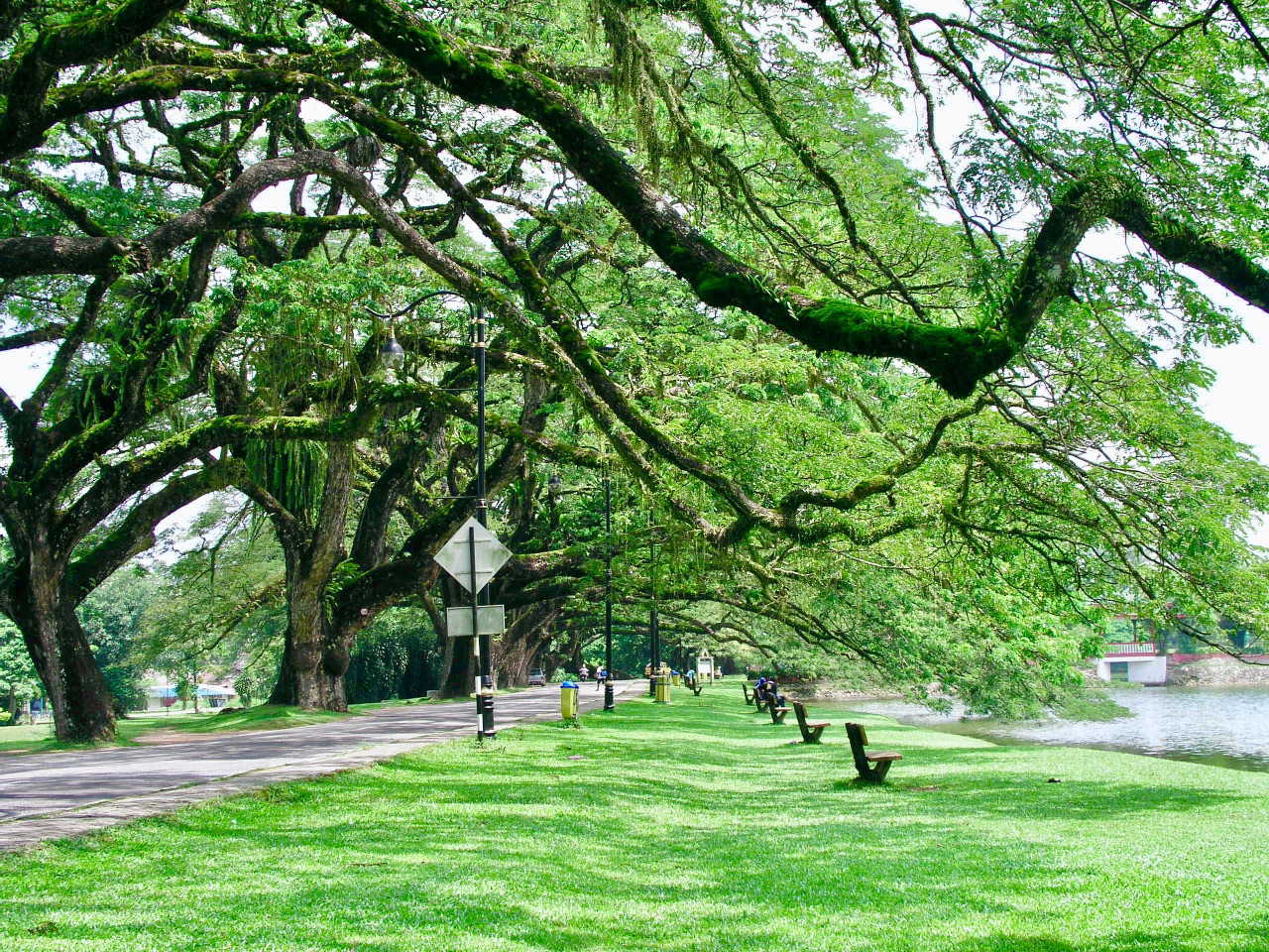 Taiping Lake Gardens