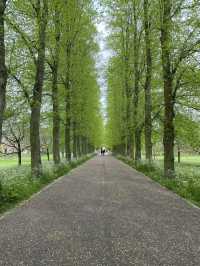 Cambridge Travel Guide: What to See in One Day