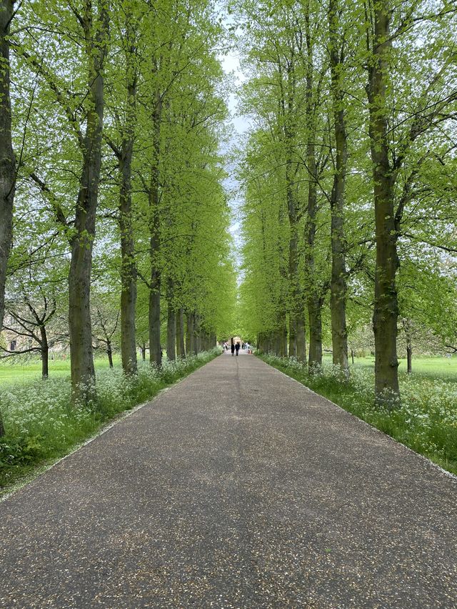 Cambridge Travel Guide: What to See in One Day