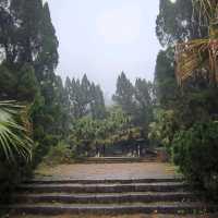 Misty Mountain Meanderings 