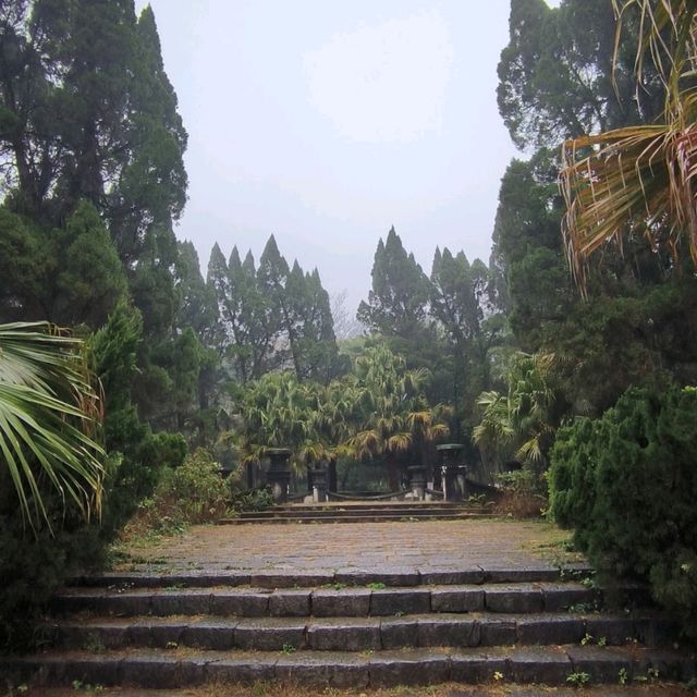 Misty Mountain Meanderings 