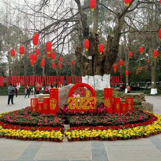 Chengdu Panda and city day 