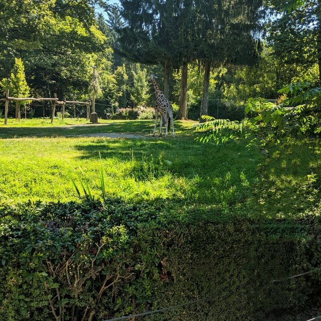 Ljubljana zoo