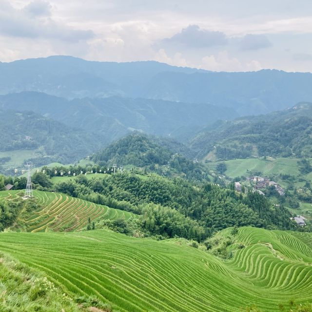 Rice Terrace Walks 