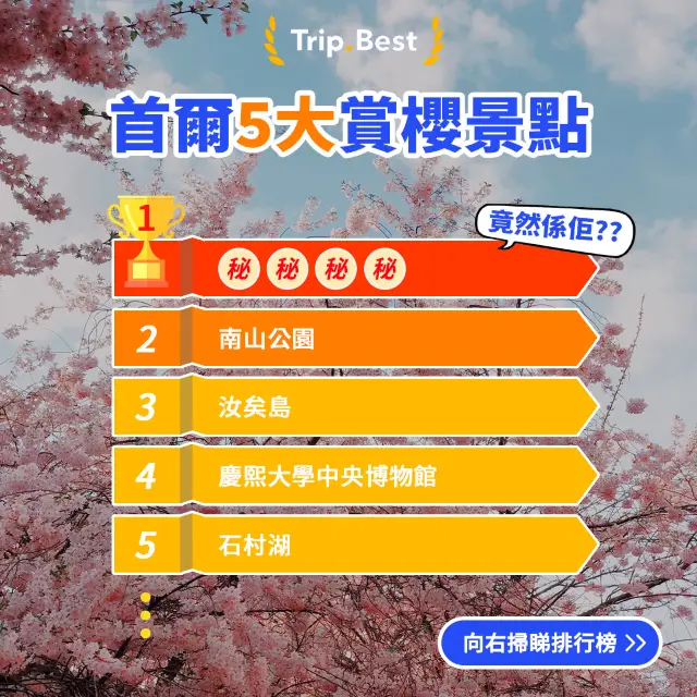 景點排行榜🏆首爾5大賞櫻景點🌸