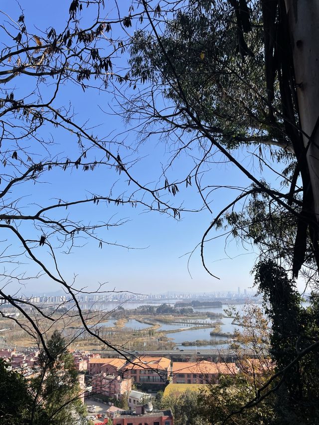 Xishan Forest Hike, Kunming 🍃⛰️