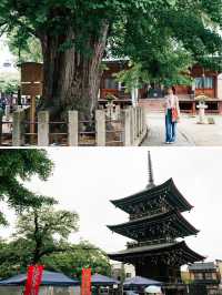 Japan's 2-day trip to the mountains | Strolling through ancient cities in kimono, temple pilgrimage.