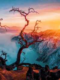 Mount Ijen | Dare to challenge this blue purgatory in Indonesia?