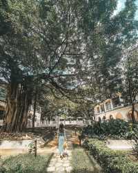 Tsim Sha Tsui's Best Spots | 6 Recommended British Retro Style Check-ins in Hong Kong