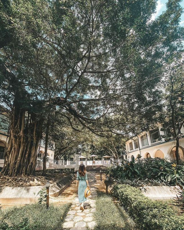 Tsim Sha Tsui's Best Spots | 6 Recommended British Retro Style Check-ins in Hong Kong