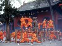 Shaolin Temple-Bucket List ✅