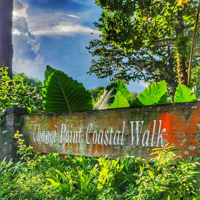 Discover Tranquility at Changi Boardwalk
