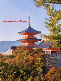 Itinerary: If You Only Have One Day in Kyoto