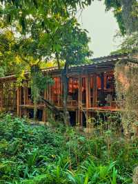 Coffee + Nature = Natura Cafe