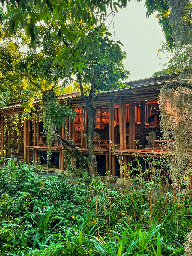 Coffee + Nature = Natura Cafe