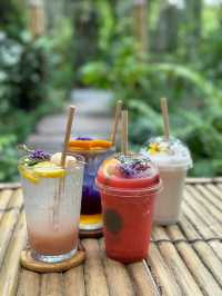 Coffee + Nature = Natura Cafe
