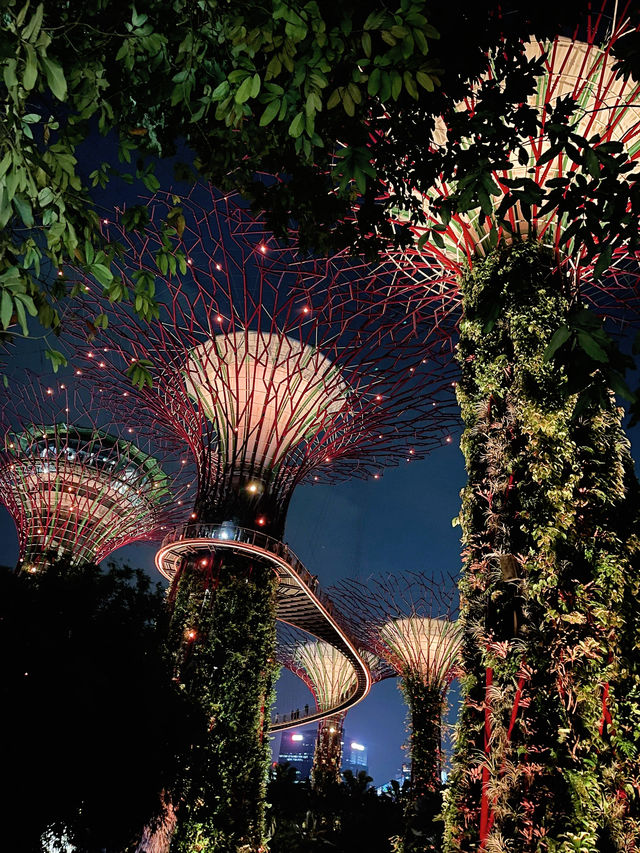 Gardens by the Bay: What to Do & Eat