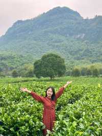 還是本地人會玩清遠積谷裡紅茶谷茶葉DIY體驗～