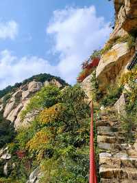 羅山，你的美內斂，聰穎