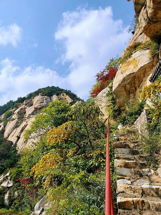 羅山，你的美內斂，聰穎