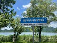 靈湖公園 吹著微風 享受這人世間獨一份的快樂