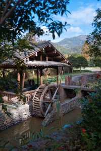 初冬的嶼北,在質樸之外,是斑斕的色彩