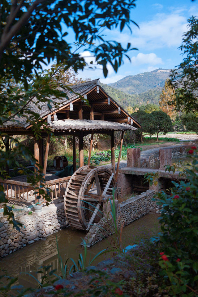 初冬的嶼北,在質樸之外,是斑斕的色彩 初冬的嶼北,在質樸之外,是斑斕的色彩