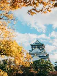 日本關西最具人氣景點，同樣也是賞秋好去處