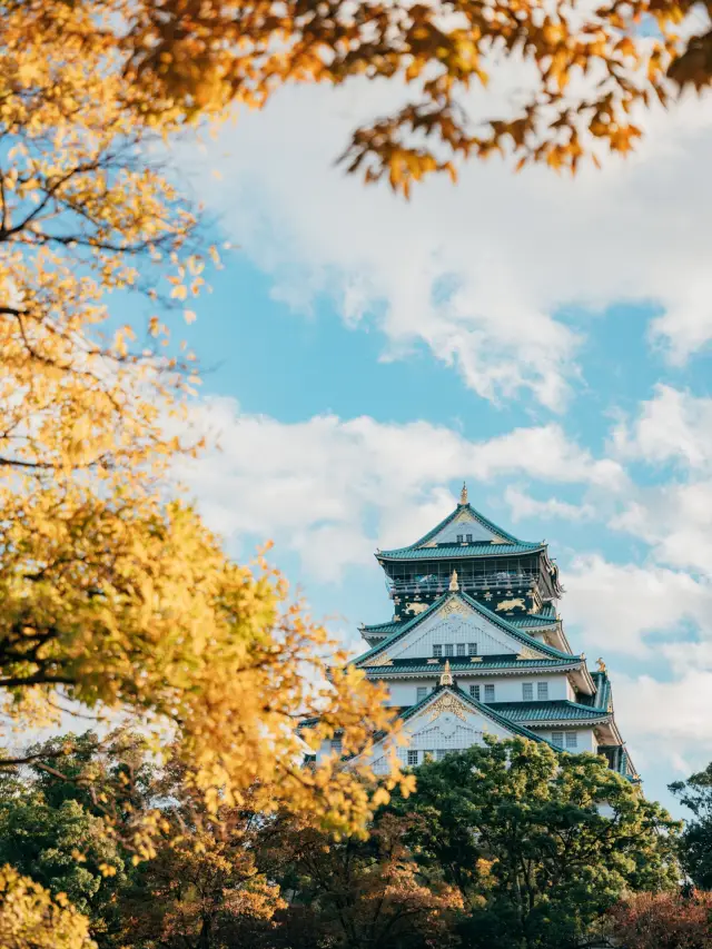 Osaka Castle Park, the most popular tourist spot in Kansai, Japan, is also a great place to enjoy autumn