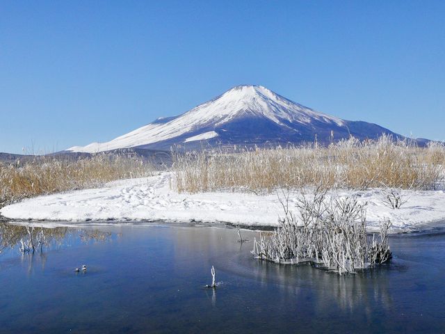 🌸 Exploring Hakone - A Once-in-a-Lifetime Adventure! 🗻